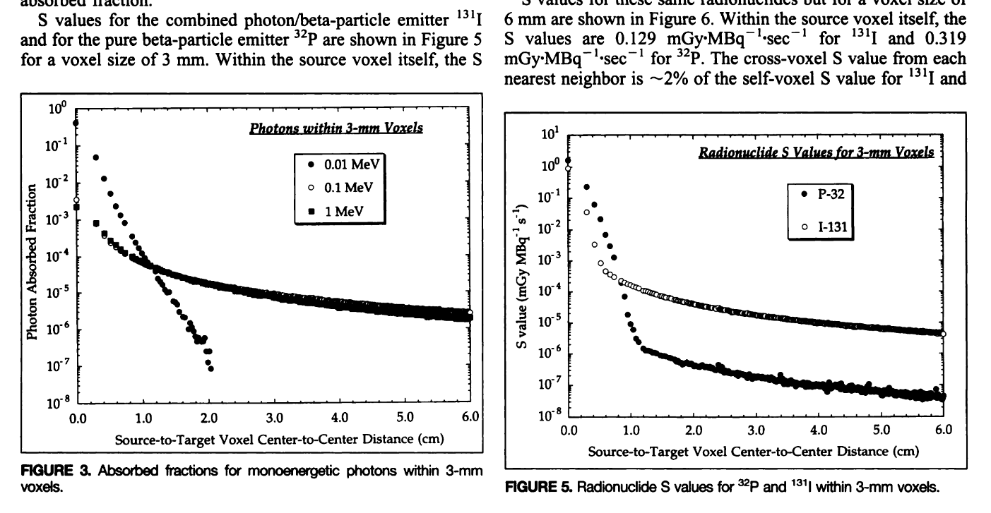 光子での吸収割合の距離依存性