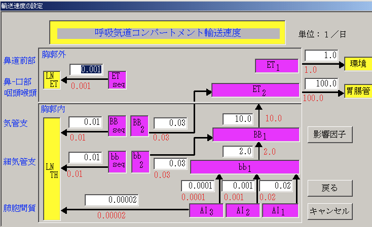 呼吸気道コンパートメント輸送速度